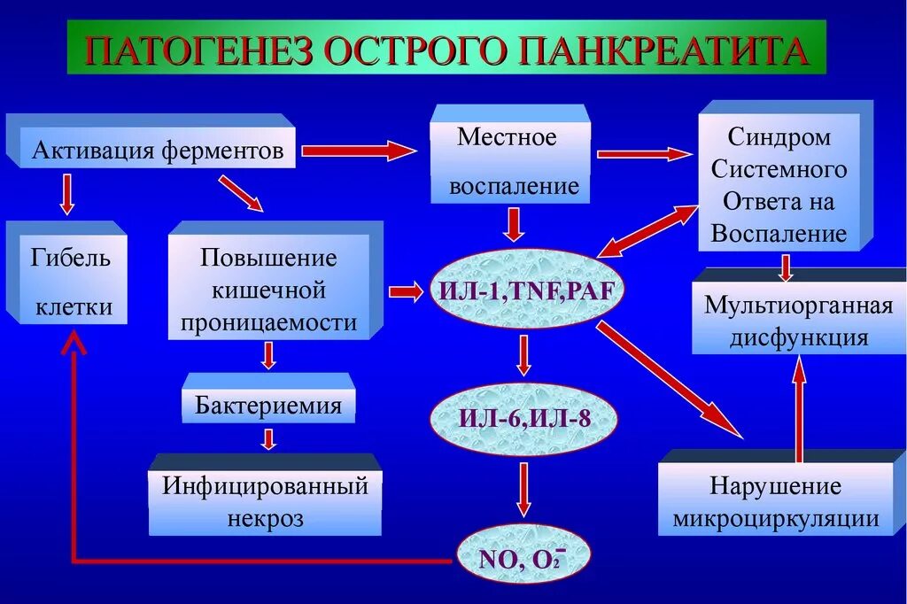 Патогенез острого. Патогенез при остром панкреатите. Механизм развития острого и хронического панкреатита. Механизм развития панкреатита. Патогенез острого ринита.
