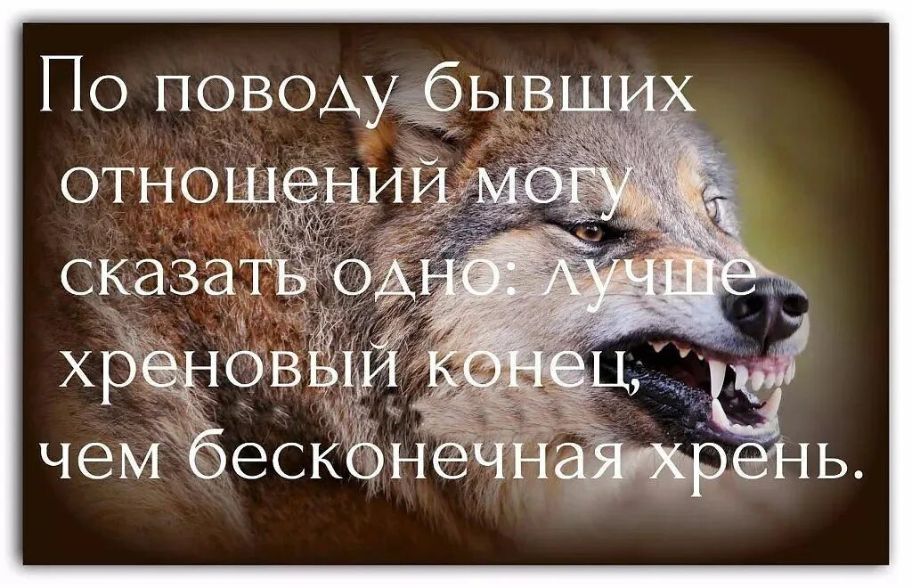 Лучше быть голодным. Лучше быть одному чем. лучше быть одной. лучше быть одной цитаты. лучше быть одеой цитат.
