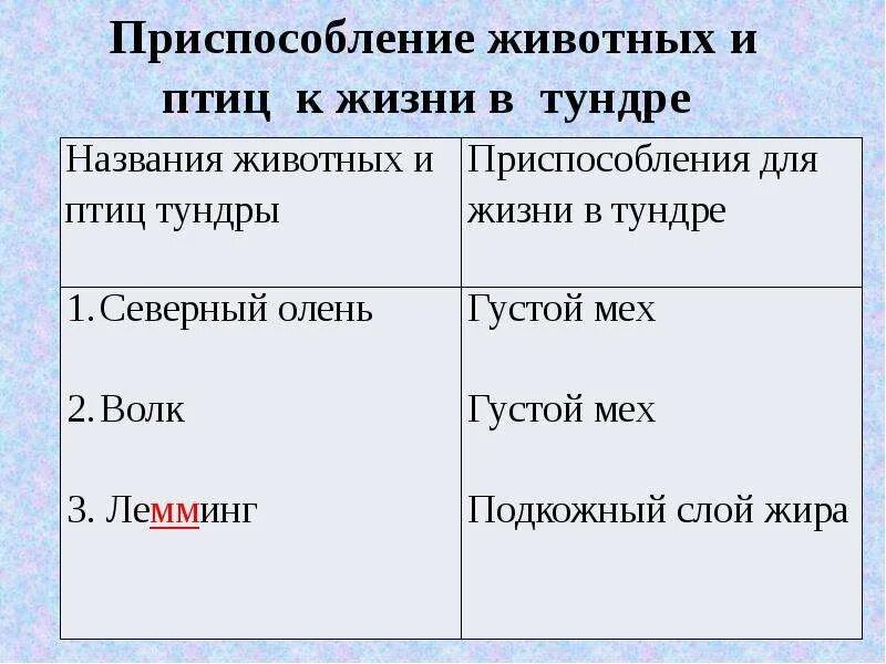 Приспособление животных в тундре. Приспособление животных и птиц к жизни в тундре». Приспособление животных к условиям тундры. Приспособление животных к жизни в тундре. Приспособленность к условиям жизни в тундре