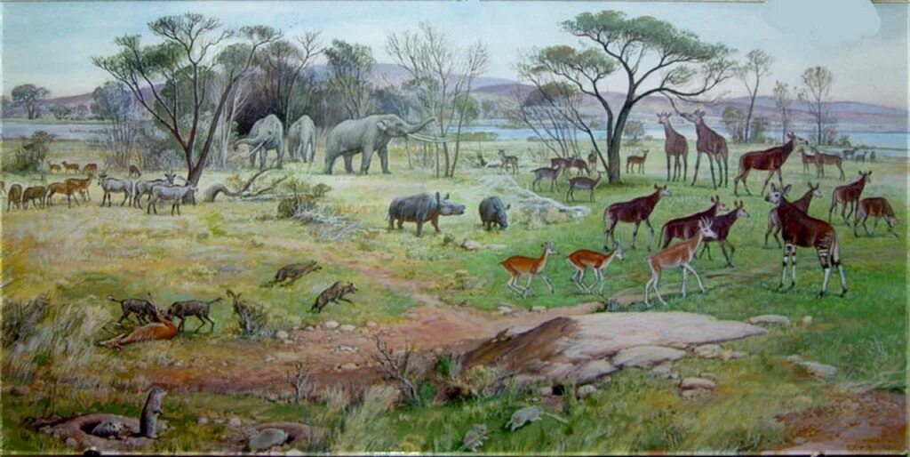 Эра кайнозой период палеоген. Миоцен. Кайнозойская эра неогеновый период животные. Кайнозой эра неоген. Кайнозойская эра палеоген неоген.