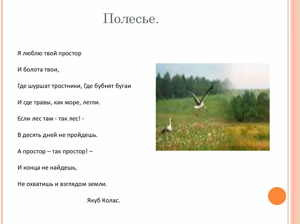Песни живет в белорусском полесье. Стихи про полесье. я люблю твои просторы. белорусская песня. песня на просторах.