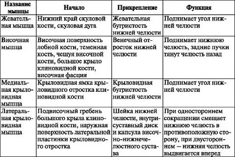 Мышцы головы анатомия таблица