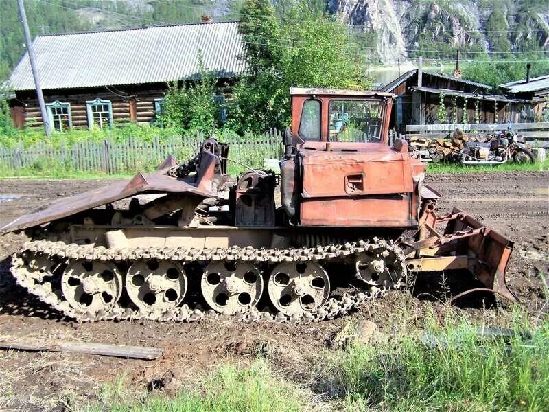 ТДТ-55а трактор трелевочный. ТДТ-55 трелевочник. ТДТ-55 трактор. Трактор ТДТ 55 на трелевке. Трелевочный трактор тдт 55