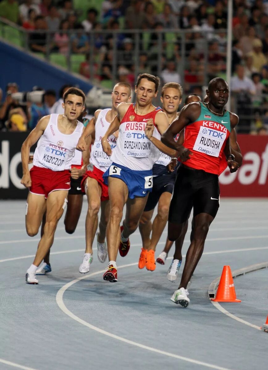 Себастьян коэ. Себастьян коэ олимпиада 1980. С коэ какую страну представлял на олимпийских. Себастьян коу олимпийский чемпион. Себастьян коу бег.