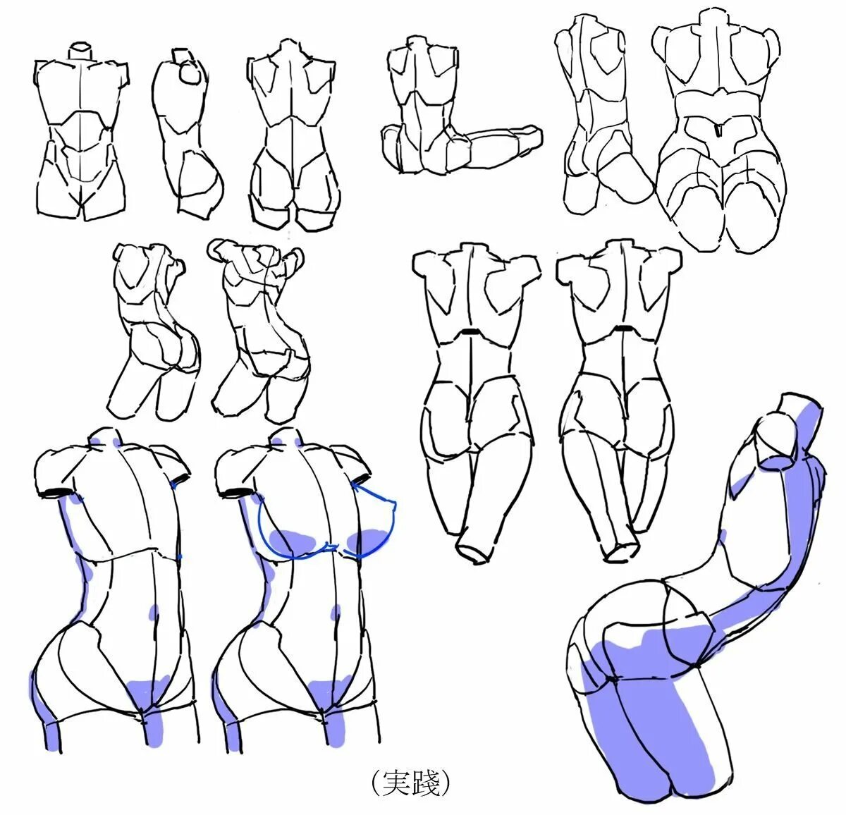 Detailed reference. Анатомия для рисования. Тело человека для рисования. Разные ракурсы тела для рисования. Анатомия тела для рисования.