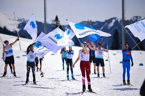 Соревнования по лыжам 2024