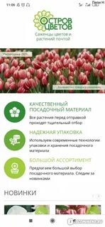 Остров цветов интернет магазин каталог
