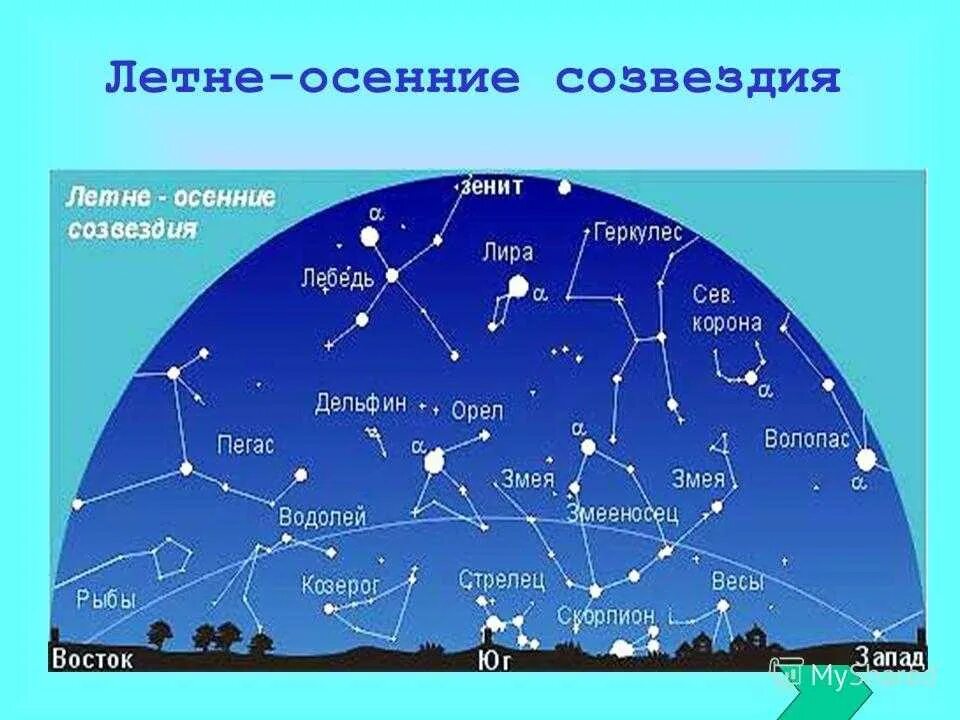 Летне осенние созвездия. Созвездия на небе. Звездное небо созвездия. Летнее звездное небо созвездия.