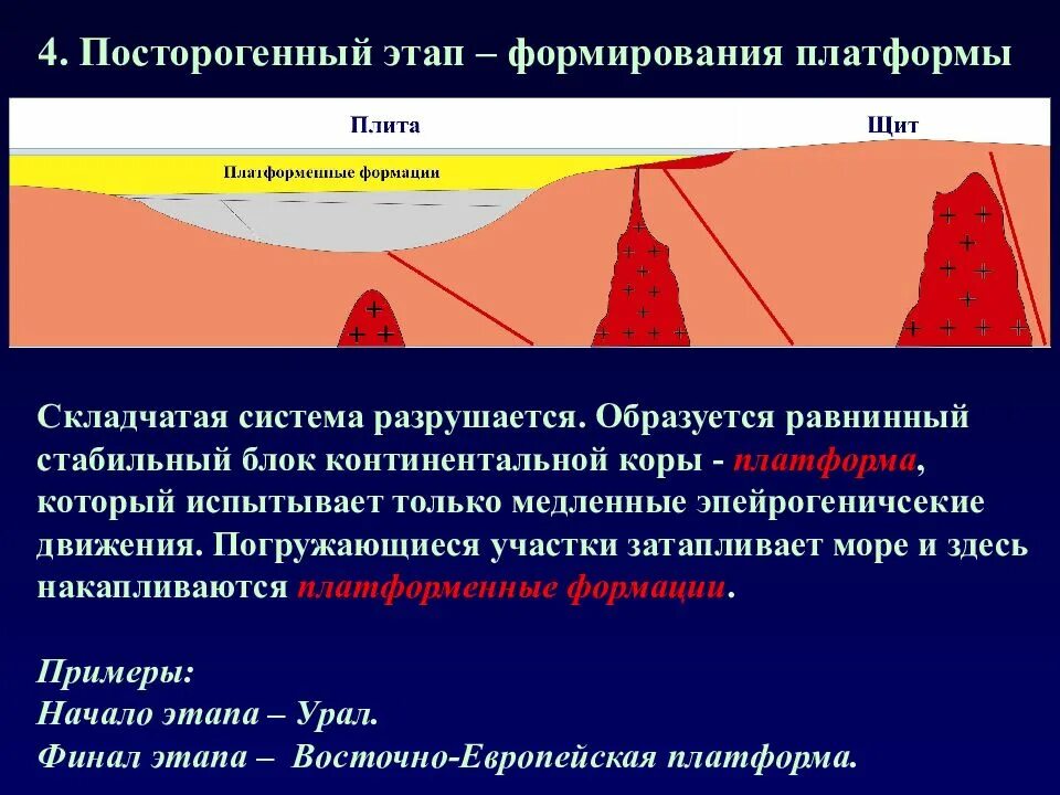 Этапы развития платформ. Строение платформы. Молодые платформы. Строение молодой платформы. На щитах древних платформ формируются