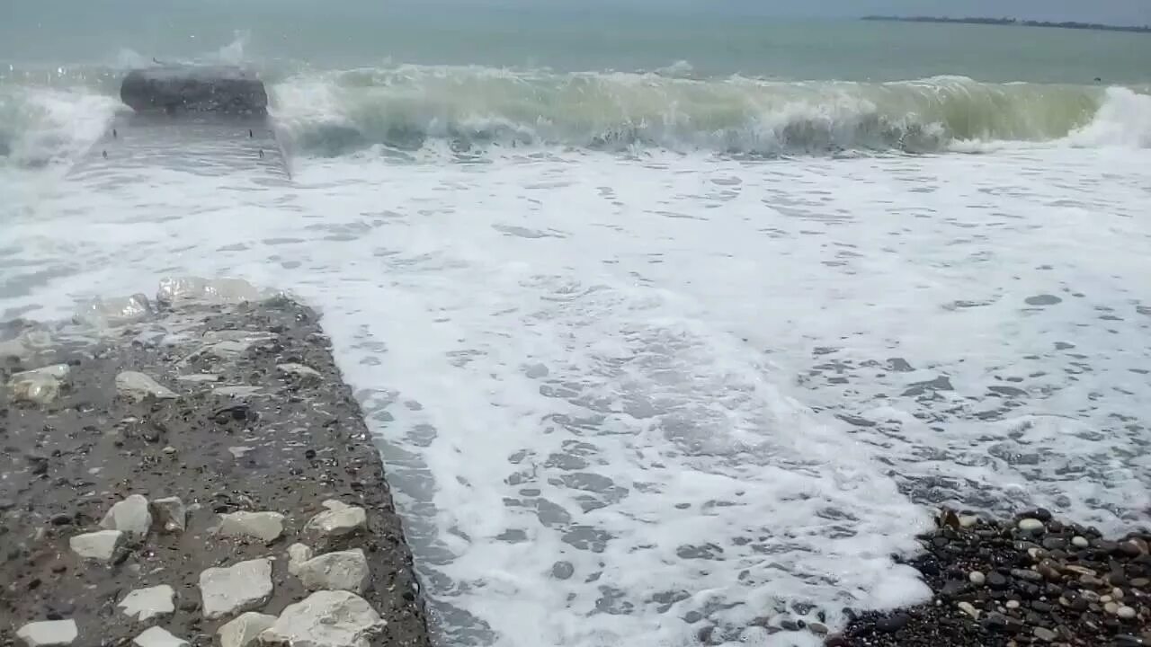 В Сухуми море штормит или нет. Фосфорное море в Сухуми. Море Сухум ветки грязь. Морские обитатели черного моря в Сухуми Абхазия.