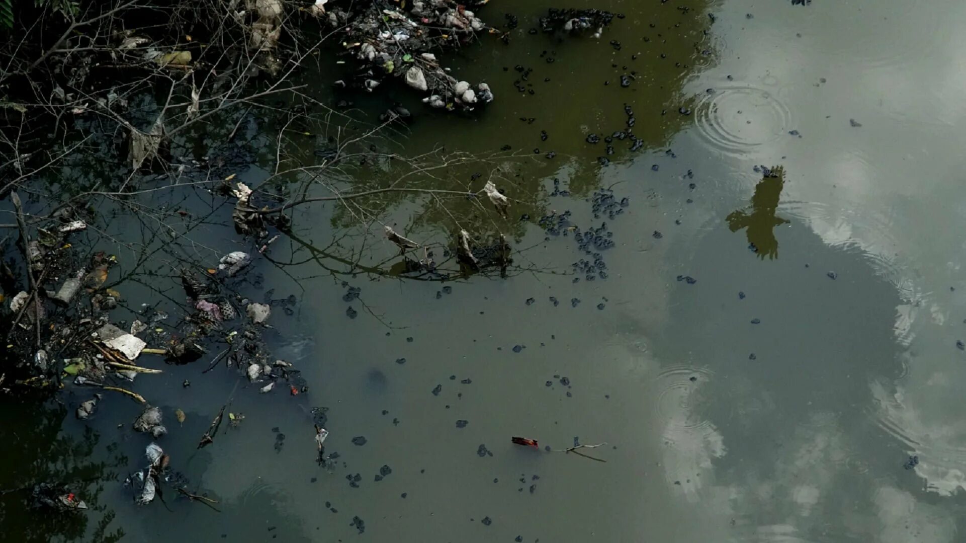 Загрязнение биологических ресурсов. Загрязнение воды. загрязненные водоемы. загрязнение природных вод. биологическое загрязнение воды.