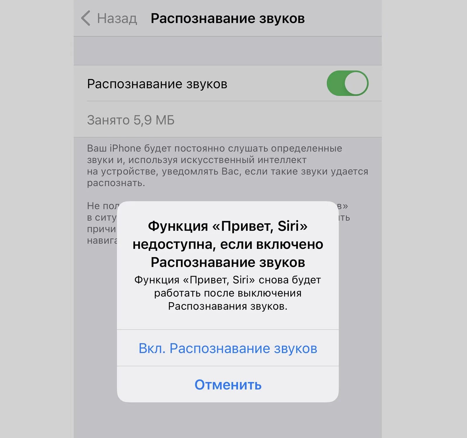 Почему не работает сири. Siri голосовой помощник. почему не работает siri. почему не работает сири на айфоне 11. привет сири не работает на iphone.