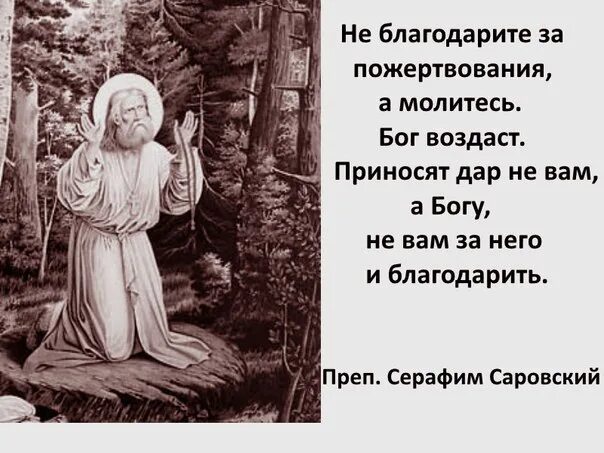 Цитаты серафимы