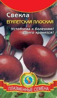 Сорт свеклы египетская