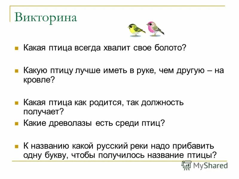 Пословица всяк кулик свое болото хвалит. Птица что свое болото хвалит. Поговорка каждый хвалит свое болото. Всяк Кулик своё болото хвалит. Кулик свое болото хвалит.