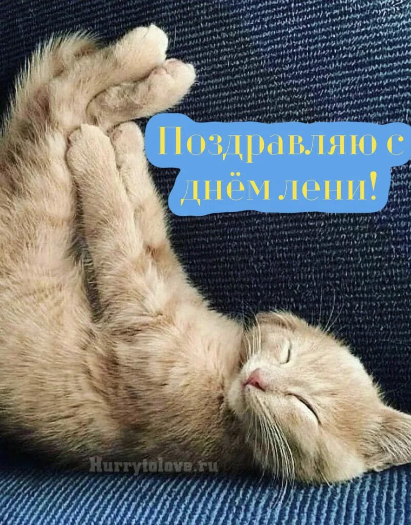 С днём лени открытки. Всемирный день лени 20 августа. Лень картинки. Поздравления с днём лени. Открытка болею.