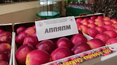 Мк мичуринск