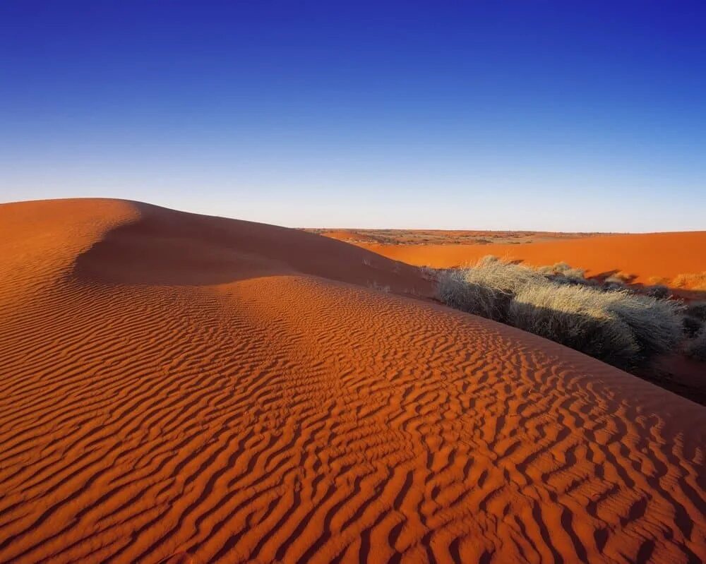 Пустыни и полупустыни Австралии. Пустыня Гибсона в Австралии. Пустыня Симпсона в Австралии. Пустыня гибсона австралия