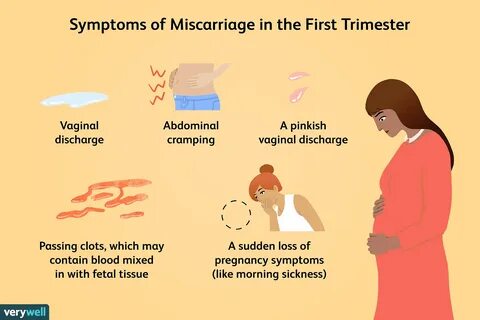 Pregnancy immediately after miscarriage.