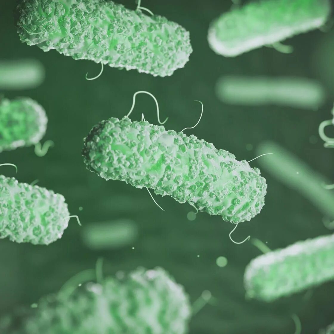 Бактериа бэкрумс. Зеленые бактерии. Бактерии и вирусы под микроскопом. Бактерии воздуха под микроскопом.