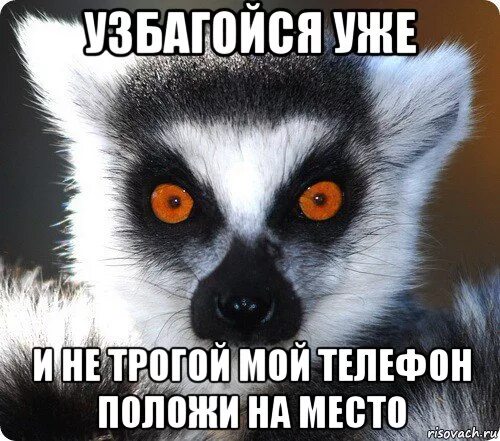 Скажи положи. Оксана узбагойся. Я збагоен. Маша узбагойся. Лена узбагойся.