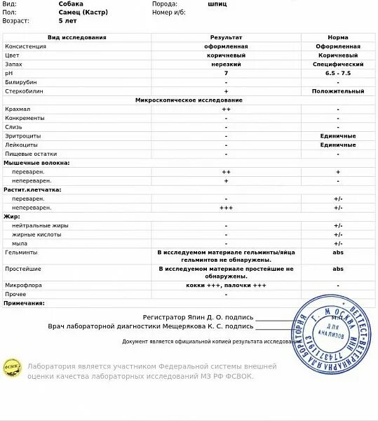 Кокки в кале. Копрограмма лейкоциты 0-0-2. Коринебактерии дифтерии. Термофильный стрептококк микроскопия. Анализ кала.