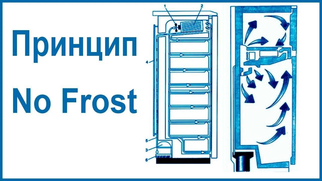 Как размораживать холодильник no frost. Холодильник ноу Фрост схема и принцип работы. Принцип работы холодильника ноу Фрост. Технология ноу Фрост в холодильнике. Устройство двухкамерного холодильника ноу Фрост.