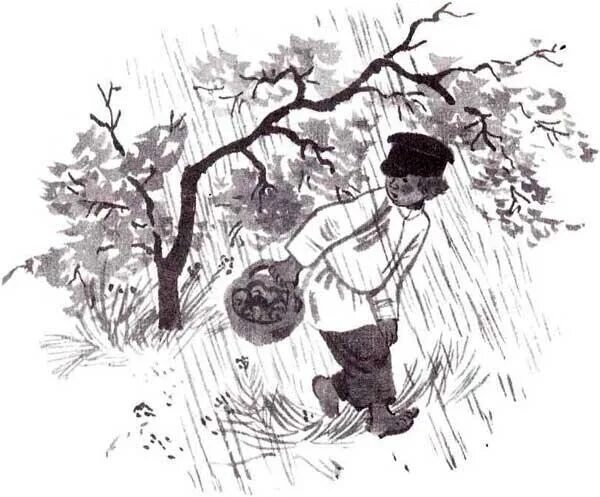 Л н толстой гроза в лесу читать. Гроза в лесу толстой. Каждая травинка имеет свою росинку. Гроза в лесу л н толстой. Л толстой гроза в лесу.