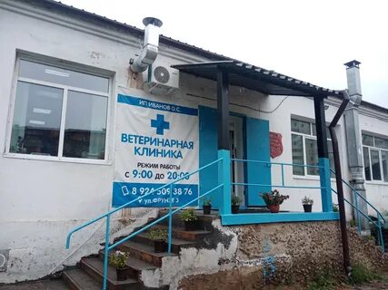 Ветклиника чита