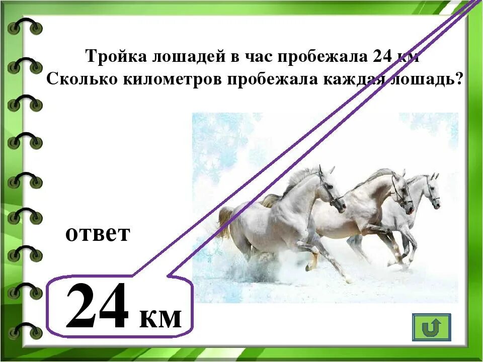 Сколько бежит лошадь. Скорость коня. Максимальная скорость лошади. Средняя скорость лошади. Лошадь максимальная скорость бега км/ч.