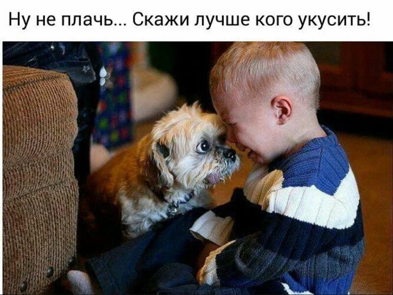 Статусы про укушу. Не надо меня кусать. Картинка ребенок кусается. Ребёнок кусается в детском саду советы психолога. Нельзя кусать того кто может съесть тебя запомни.