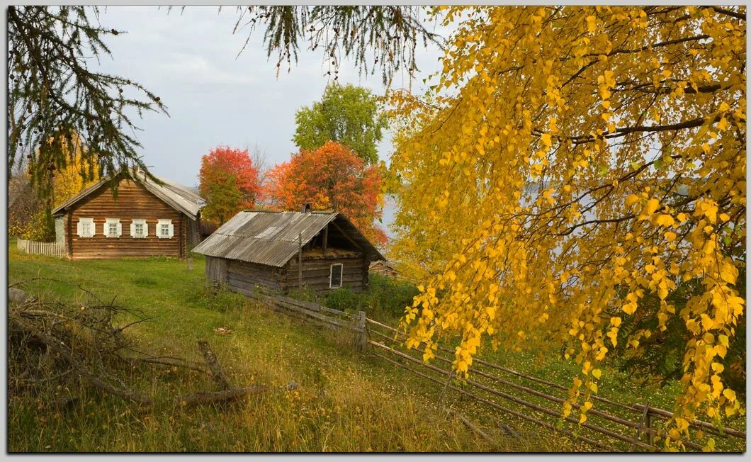 Бабье лето Пастернак. Деревня осенью. Пейзаж деревни. Красивая осень в деревне.