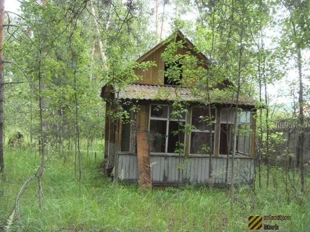 Горн в пионерском лагере. Звонкие горны Пионерский лагерь. Звонкие горны Пионерский лагерь Московская область. Пионерский лагерь звонкие горны Дмитровский район. Лагерь звонкие горны Донино.