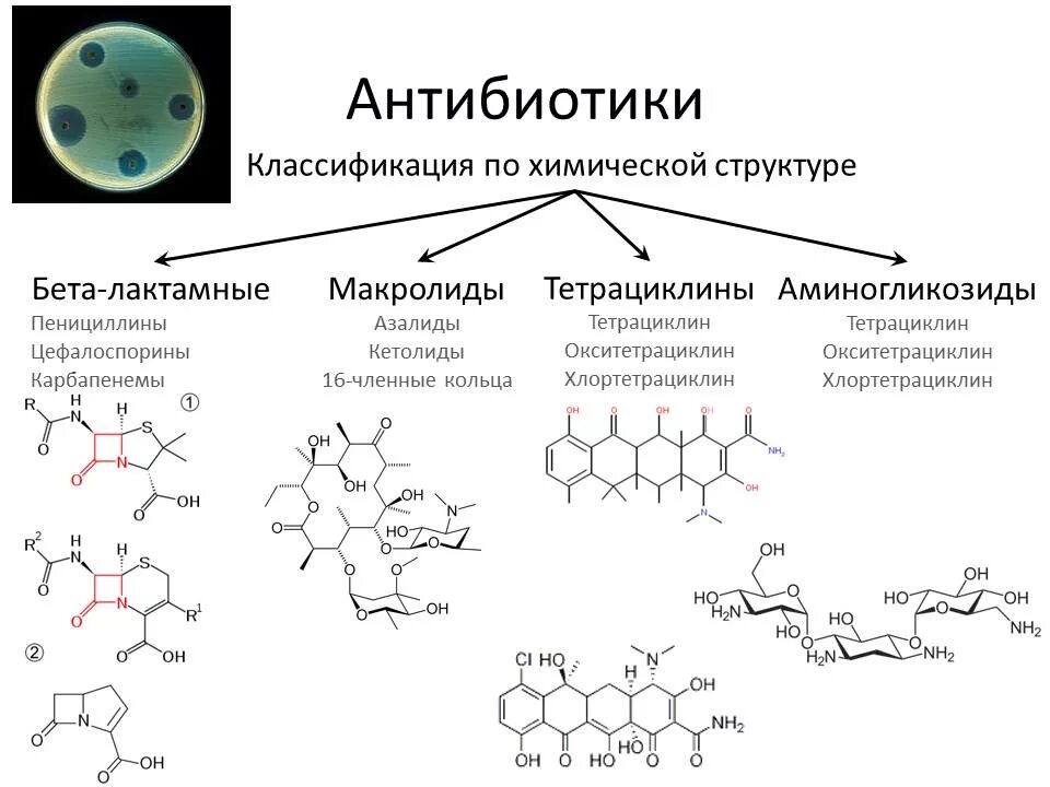 Пенициллины цефалоспорины макролиды. Классификация антибиотиков по химическому строению. Химическая структура антибиотиков. Хим формула антибиотика. Классификация антибиотиков по химической структуре.