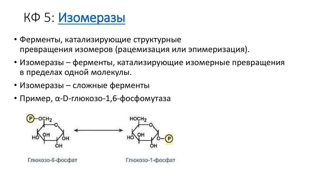 Ферменты реакции примеры. Характеристика ферментов класса изомеразы. Изомеразы химическая структура. Изомеразы примеры реакций. Изомеразы катализируют реакции.