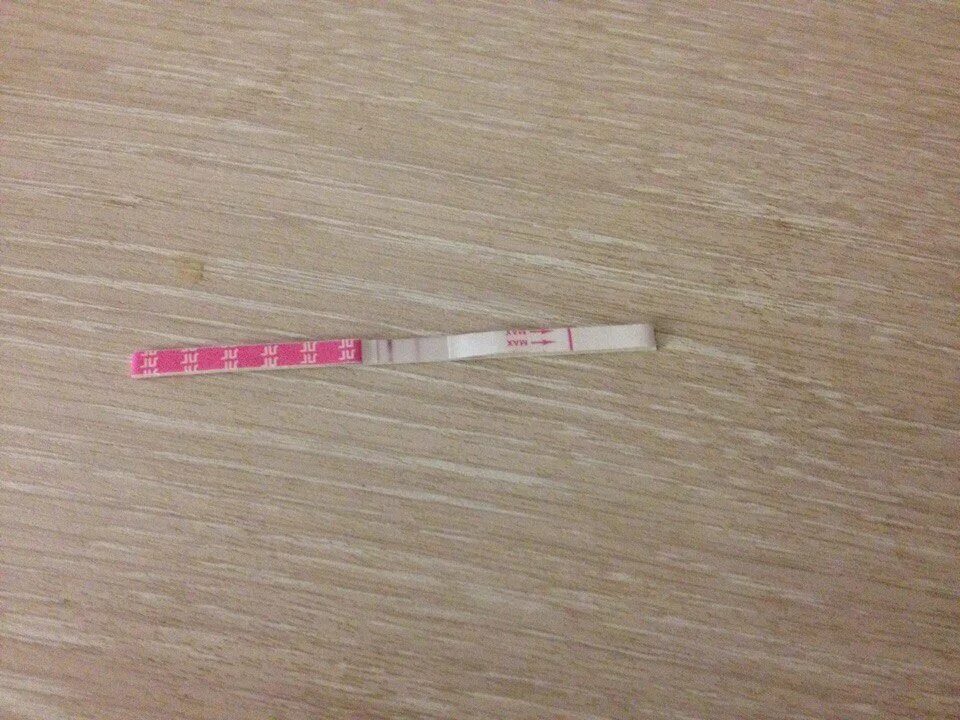 15 д ц