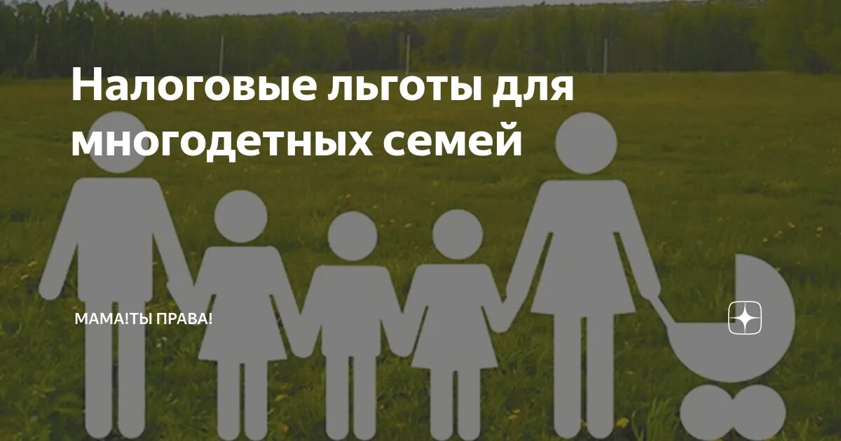 Важная информация для многодетных семей. Земельные участки многодетным семьям картинки. Земля для многодетных семей в Омске. Статус многодетной семьи.