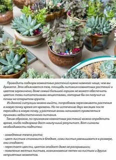 Чем подкормить комнатные цветы осенью перед зимой