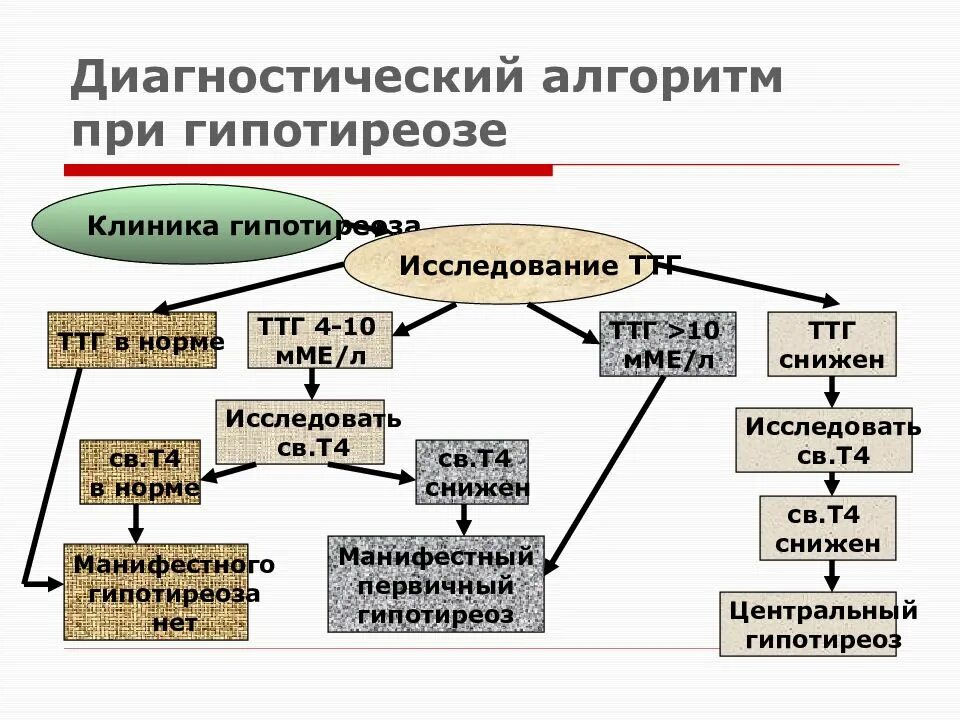 Врожденный гипотиреоз лечение. Гипотиреоз диагностический алгоритм. Алгоритм диагностики гипотиреоза схема. Врожденный гипотиреоз патогенез схема. Алгоритм диагностики гипотиреоза у детей.