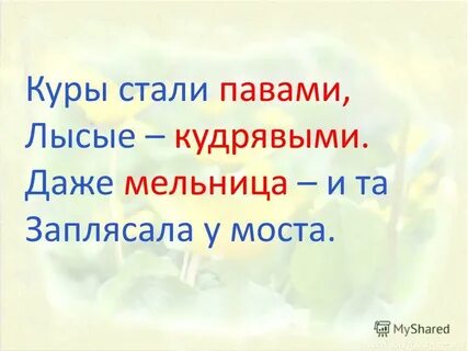 Пава стал
