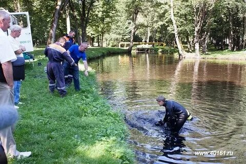 40161 новости советска калининградской