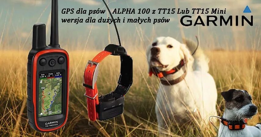 Gps навигатор для охоты для собак. Ошейник для отслеживания собак garmin. навигатор garmin alpha без ошейника. ошейники для собак с gps навигатором для охоты garmin 276cx. garmin astro 320 в лесу человек.