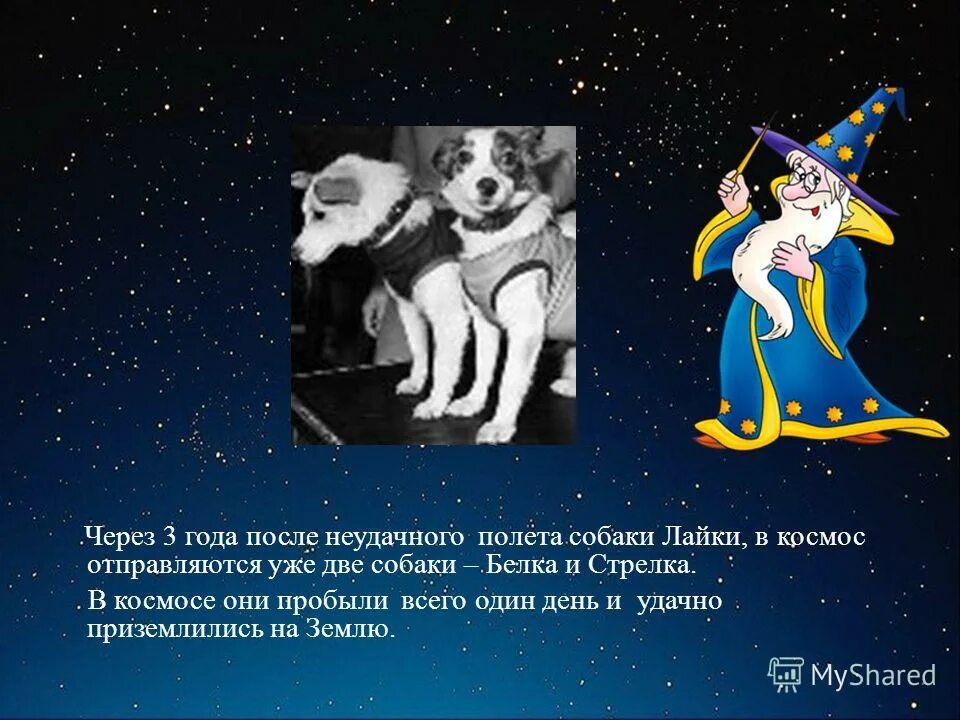 Как белку звали до полета в космос. Собака лайка в космосе презентация. клички первых собак полетевших в космос. презентация на тему собаки в космосе. стихи о животных в космосе.