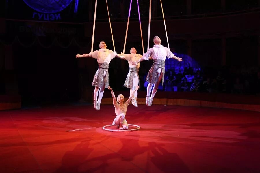 цирковое училище румянцева в москве. н. цирковое училище в измайлово. училище циркового и эстрадного искусства им румянцева м. н.