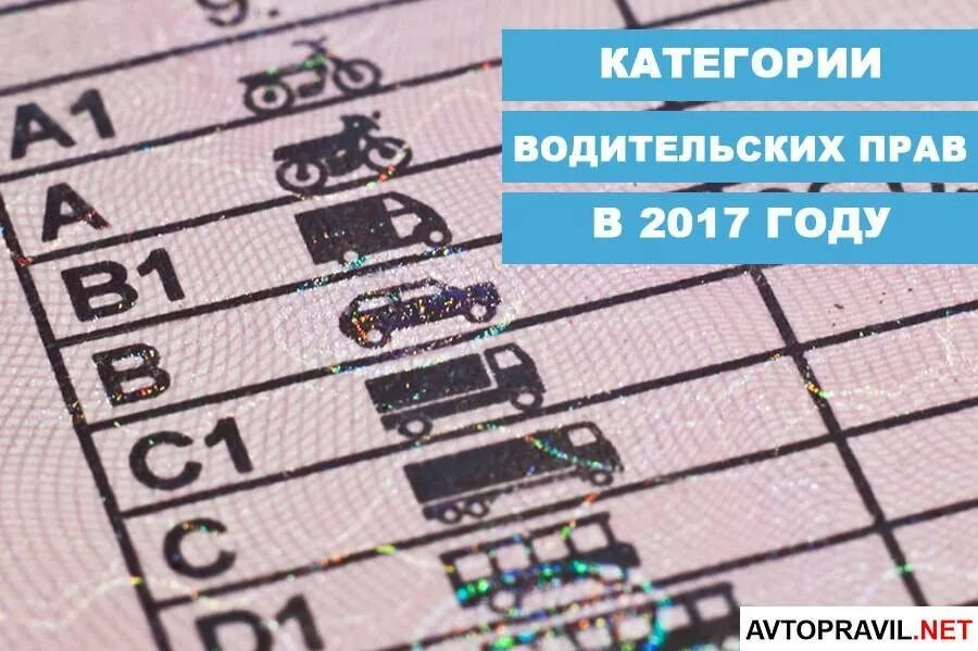 Расшифровка категории в1. Категории водительских прав. Rfntujhbb водительсуого уд. Категории водительских пра. Категории в правах.