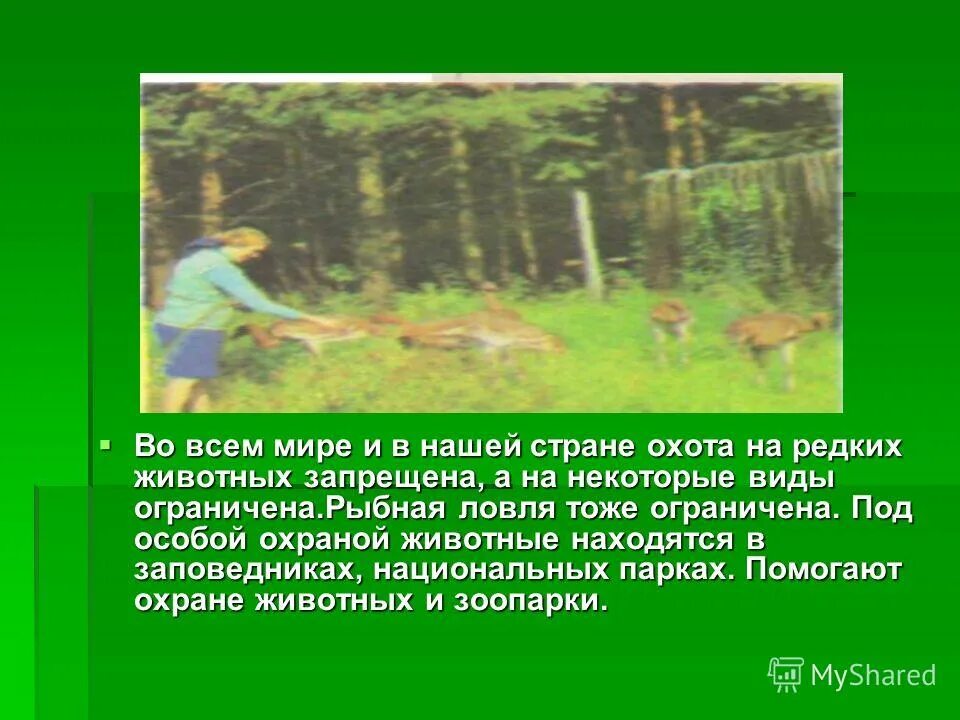 заповедники и национальные парки. охрана лесов. под особой охраной. название мест где животные находятся под особой охраной.