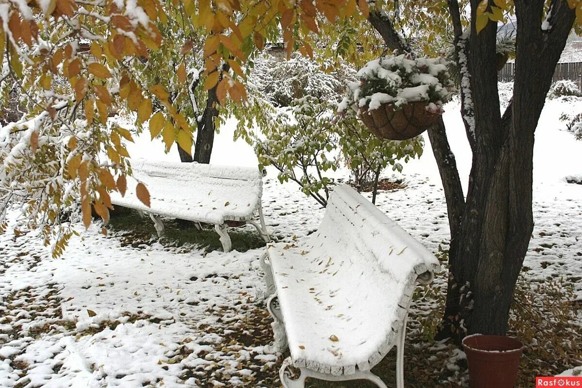 Сад в ноябре. Первый снег в парке. Осень снег. Первый снег в саду. Жду первый снег