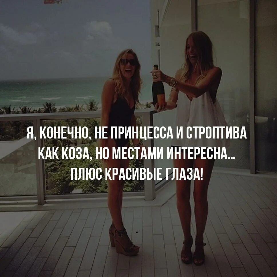 Строптивый значение. Строптивый значение. Адриано челентано укрощение строптивого. Адриано челентано цитаты из фильмов в картинках. Строптивый характер у девушки.