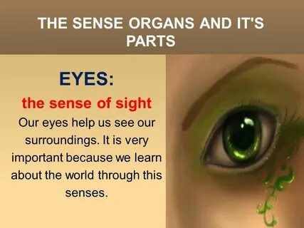 We see our eyes