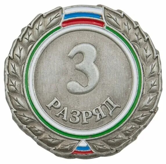 значки спортивных разрядов. значок 2 юношеский разряд по плаванию. значок первый взрослый разряд. значки спортивных разрядов. первый спортивный разряд значок.